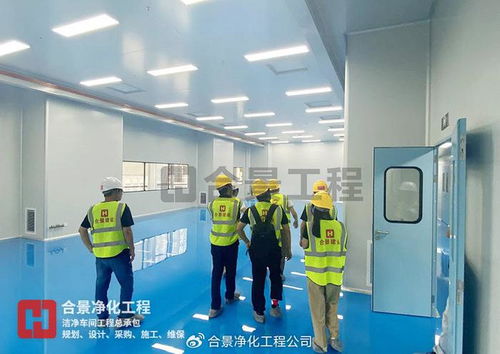 金山高新區生物醫藥新工廠投用 總投資3.5億元，合景凈化工程公司引領行業新篇章